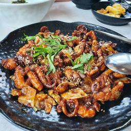 마당발쭈꾸미 사진 3