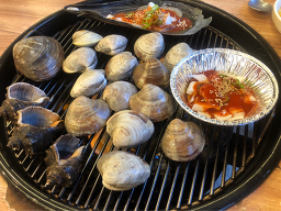 행운동조개 사진 8