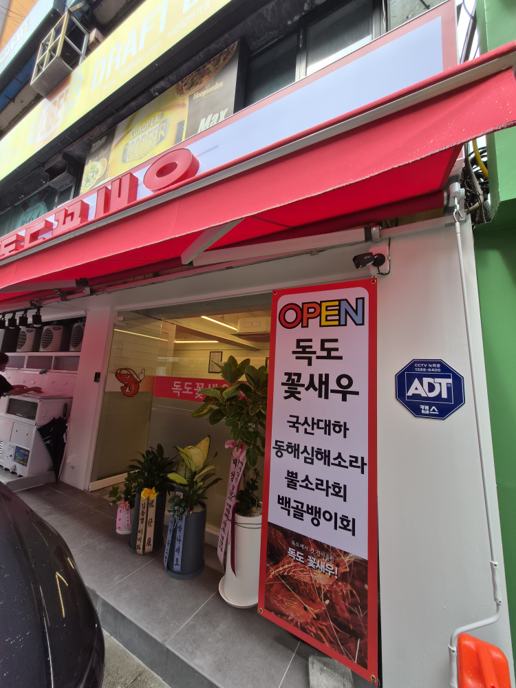 독도꽃새우 사진 5