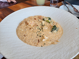 마조레 사진 5