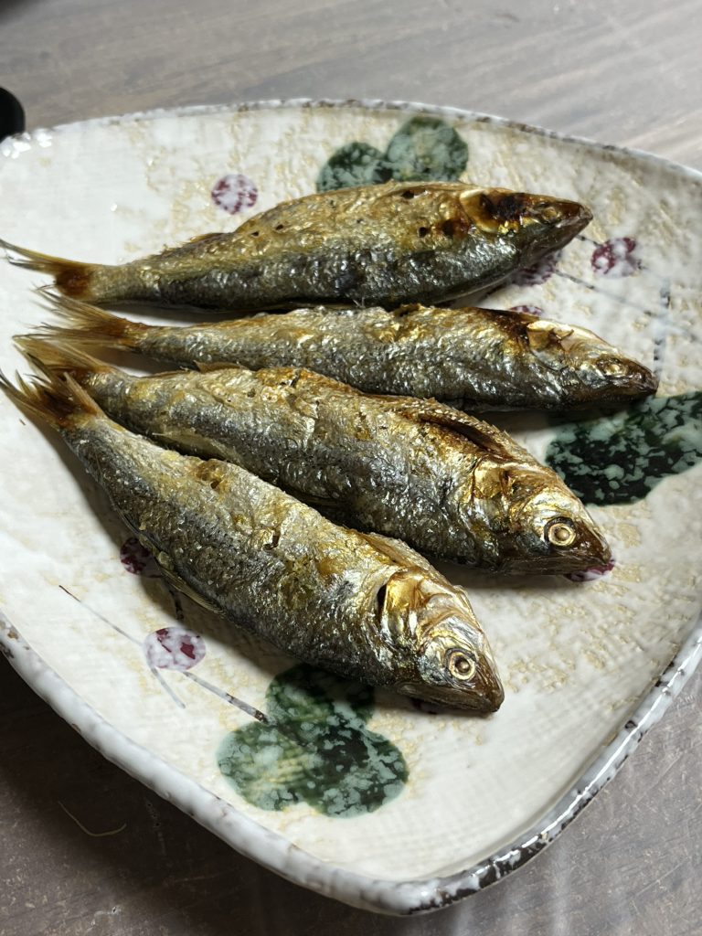 회통령 사진 5
