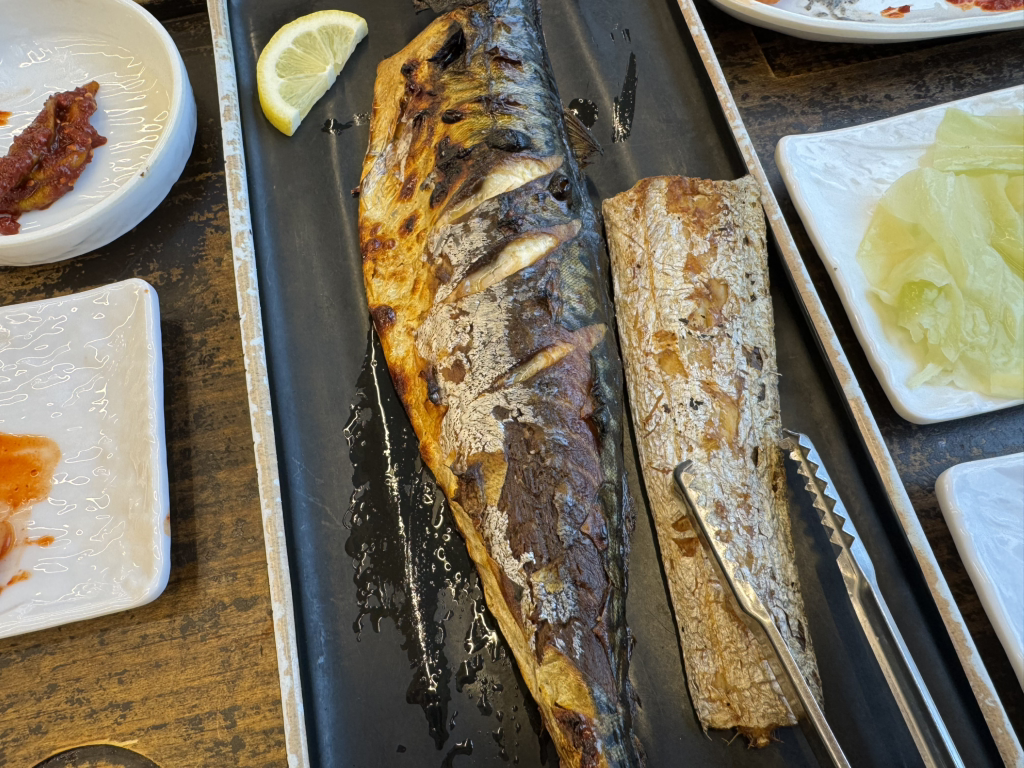 부산에뜬고등어 사진 7