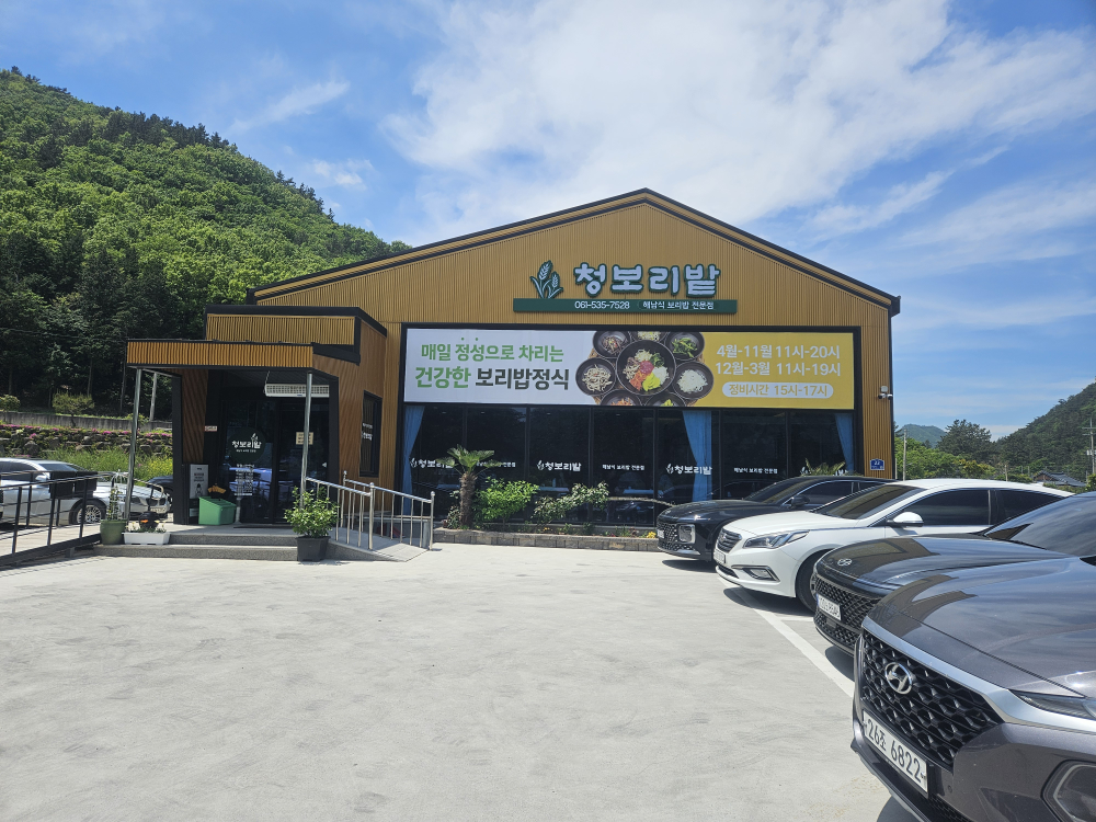 청보리밭 사진 2