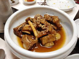 느티나무 사진 6