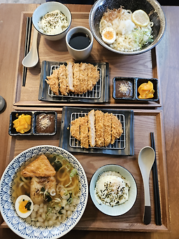 코야 사진 5