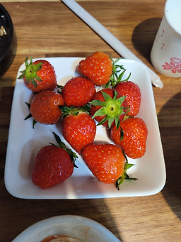 터호프 사진 2