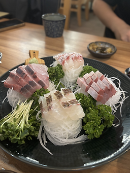 시라 대표 사진
