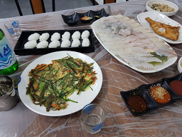 풍성한회나라 사진 3