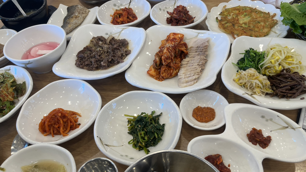 벽오동 사진 6