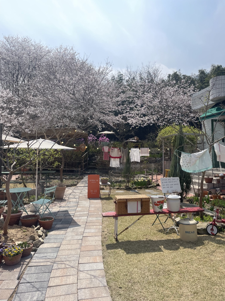 앵지밭골그집