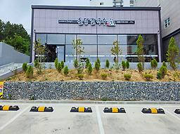제주돌담칼국수 일광점 사진 6