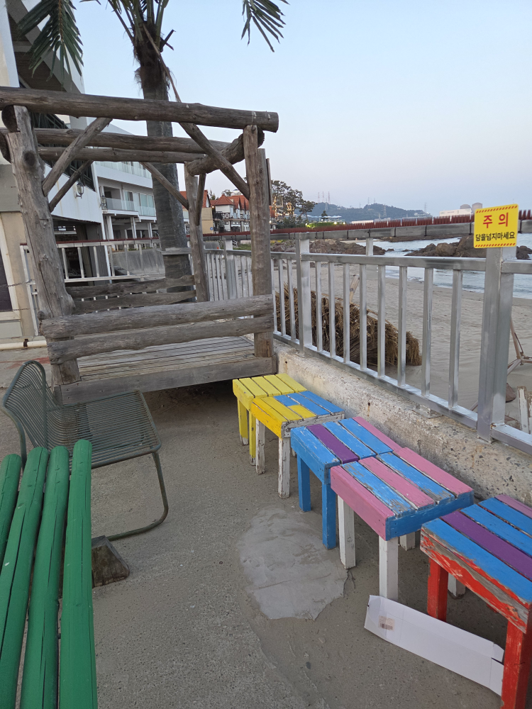 해운대해물칼국수 사진 2