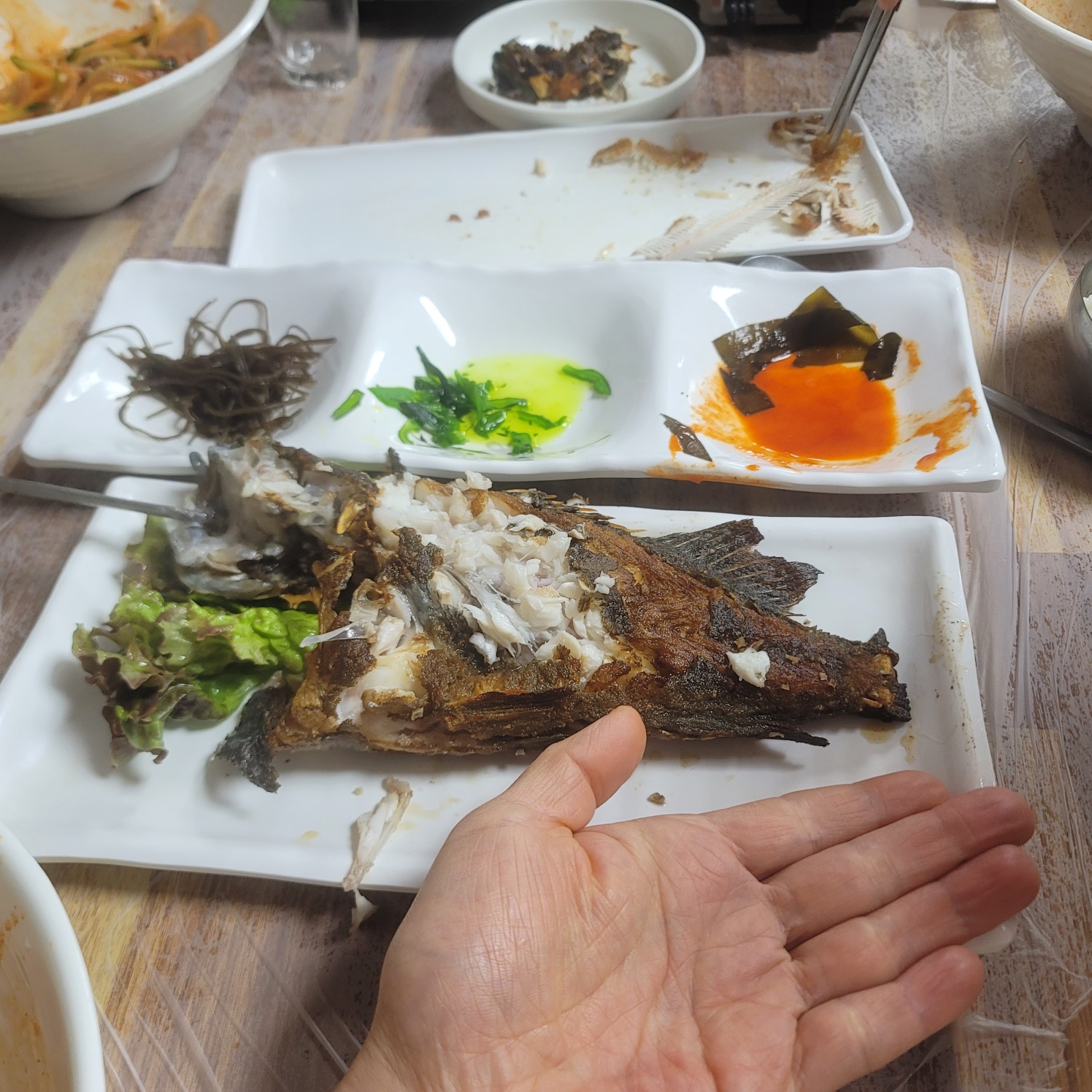 호궁회센타 사진 2
