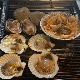 조개폭식 사진 8