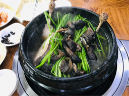 깊이울오리 대표 사진