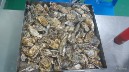 화양원조굴구이 2호점 사진 3