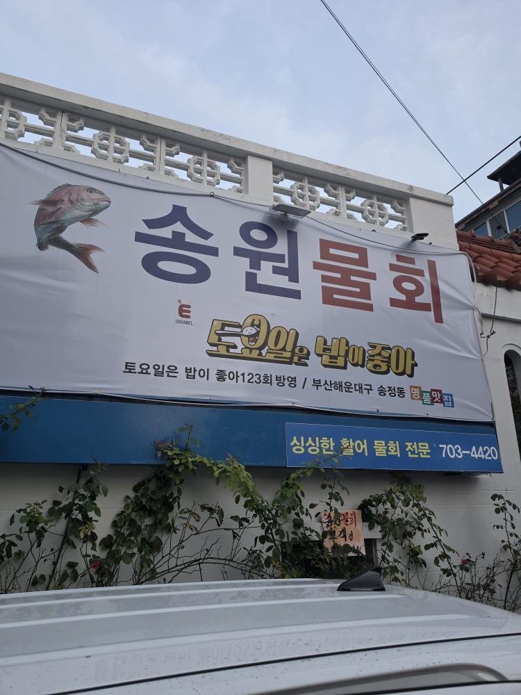 송원물회횟집 사진 2