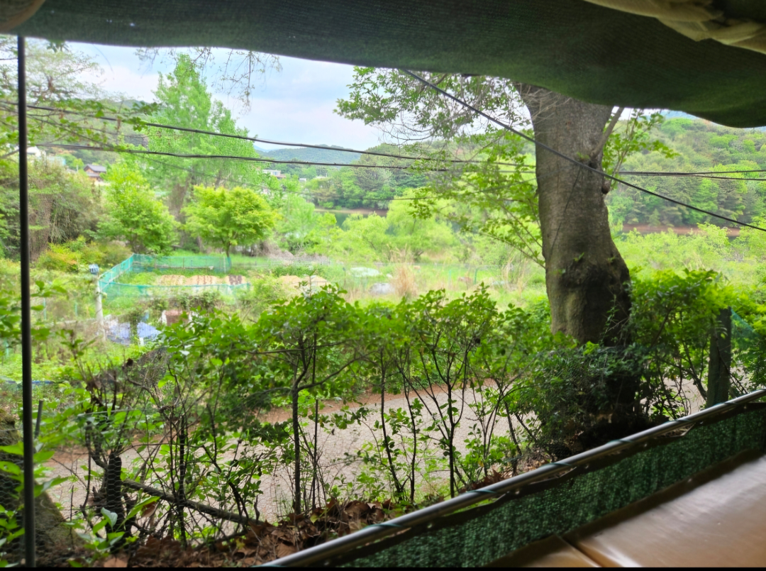 삼삼오리촌 대표 사진