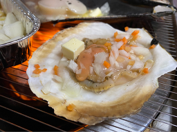 바닷속조개왕국 사진 3