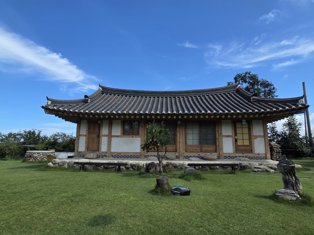 애견동반