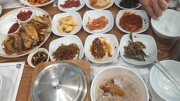 백우 대표 사진