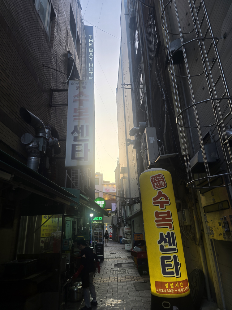 수복센타 사진 6