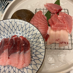 혼참치 사진 3