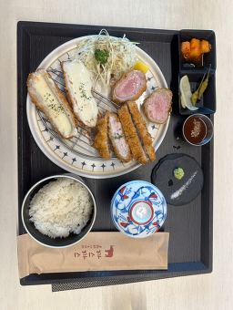 코끼리아프리카 까스까스 사진 8