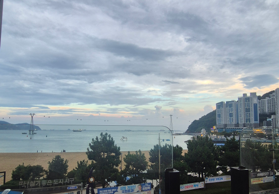 송도통큰조개 사진 5