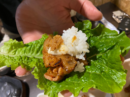 정자나무 사진 2