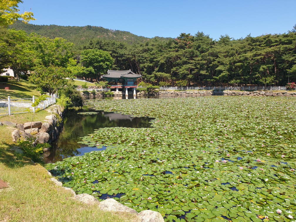 하림반점 사진 2