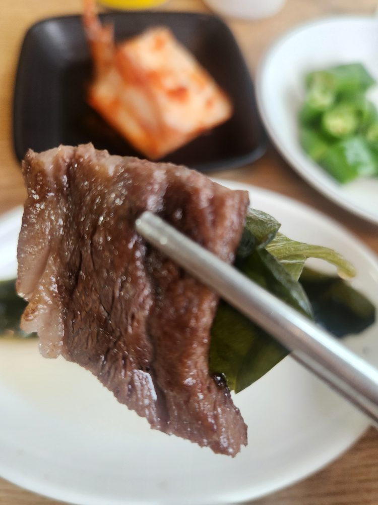 토종한우 사진 3