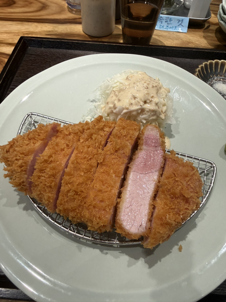 광성 사진 4