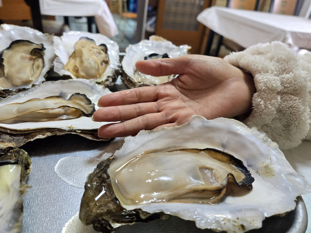 신방촌재첩벚굴식당 대표 사진