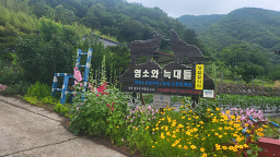 염소와늑대들 사진 5