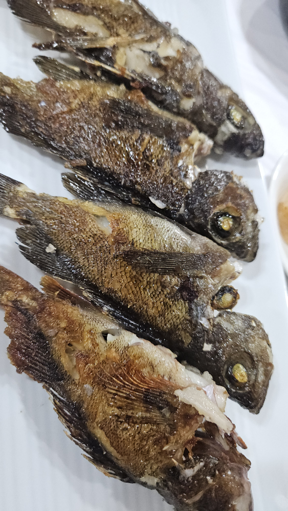 드루와포차 사진 7