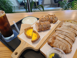 로다로지 사진 5