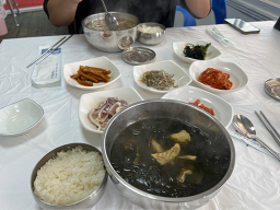 해안선 사진 7