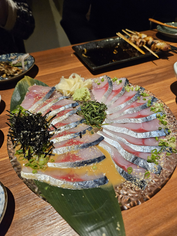 파치파치 사진 6