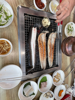 여자만 장어 사진 3