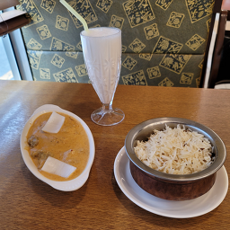 비하니 사진 4