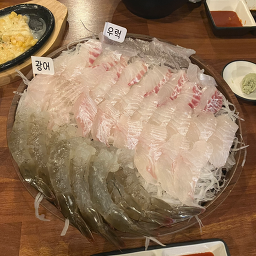 한점 사진 5