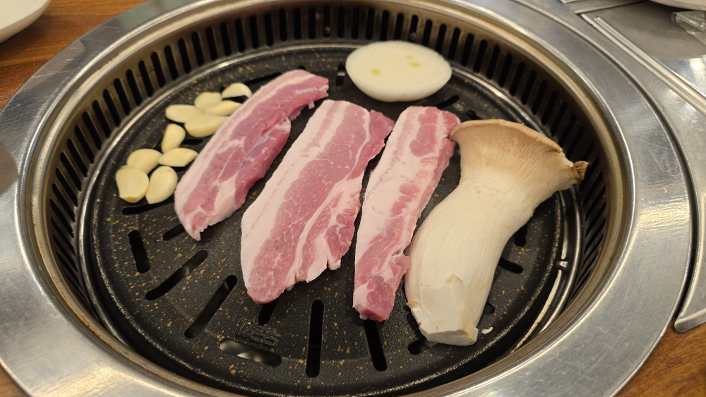 백송 사진 4