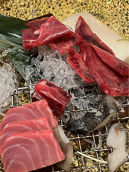 혼참치 사진 2