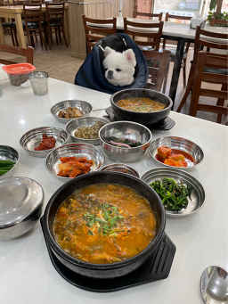 강진만갯벌탕 사진 8