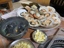 바닷속조개왕국 사진 8