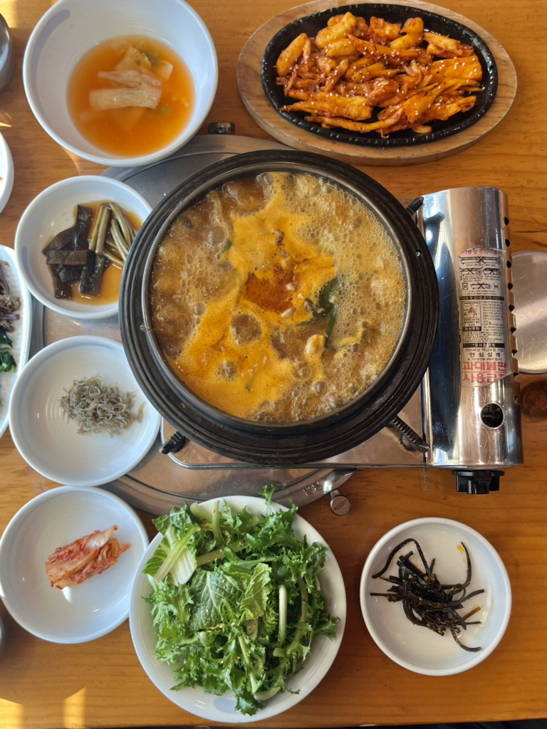 불미골오리 사진 5