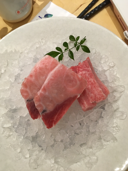 혼참치 사진 4