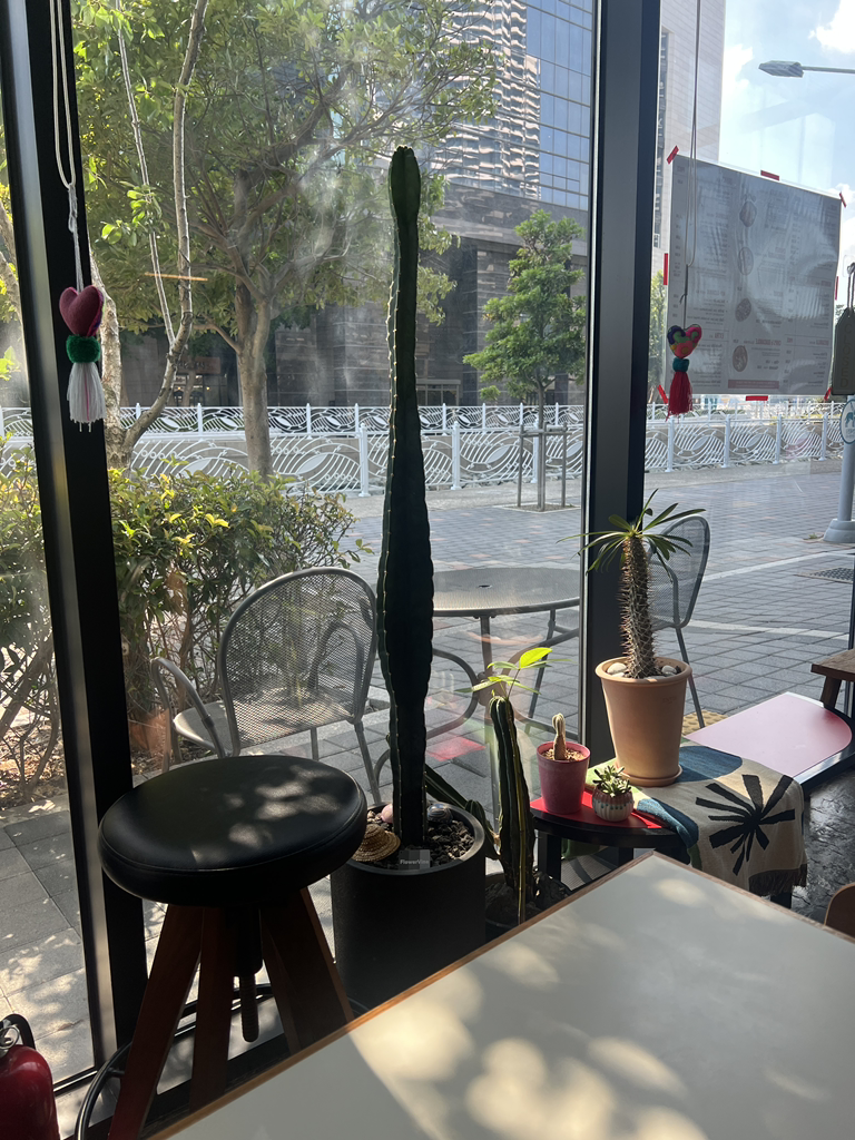 따끼또스 사진 2