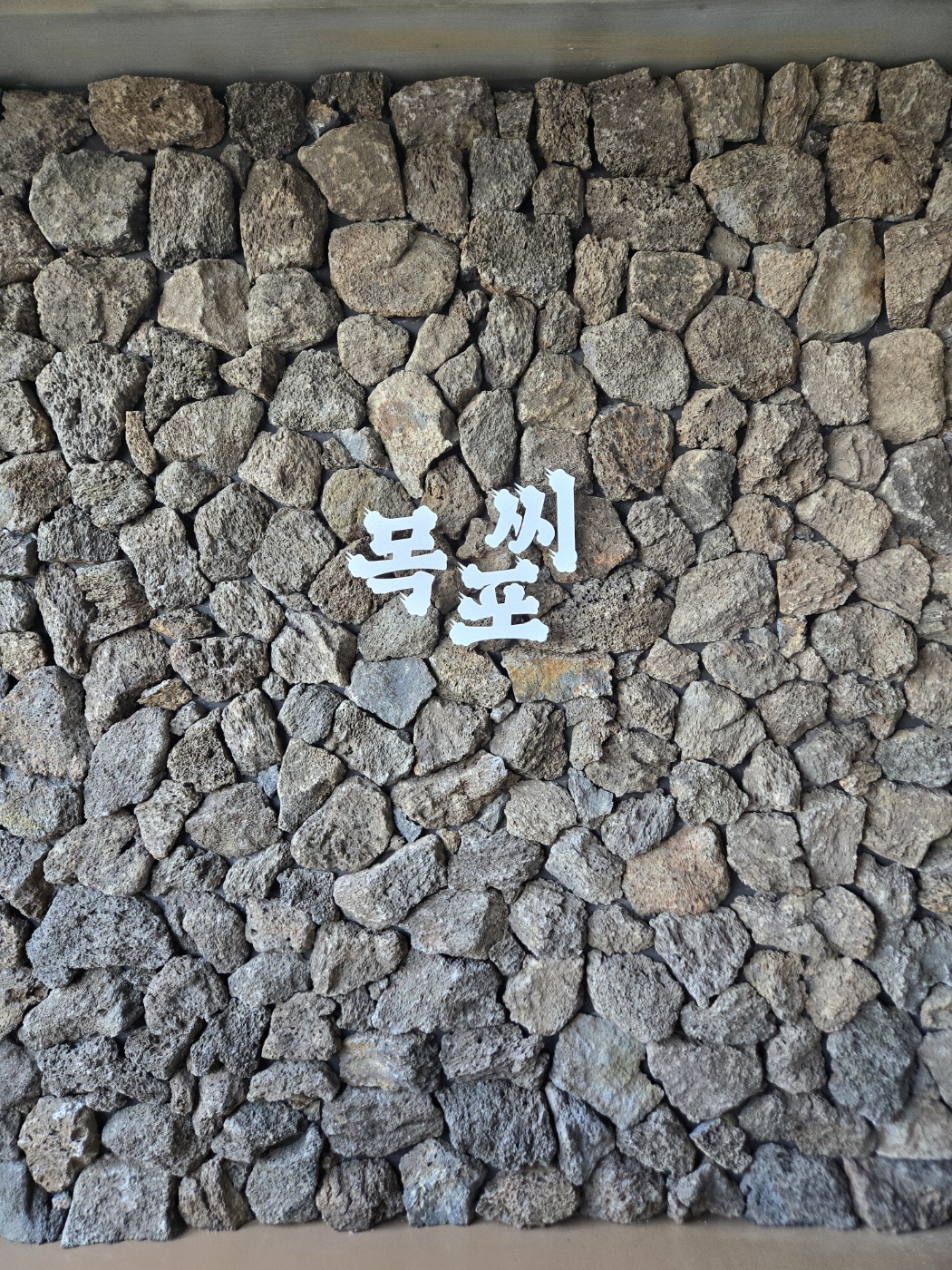 목포씨 사진 3